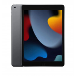 Apple iPad 9 WiFi 256GB Gray, použitý, třída A, záruka 12 měsíců