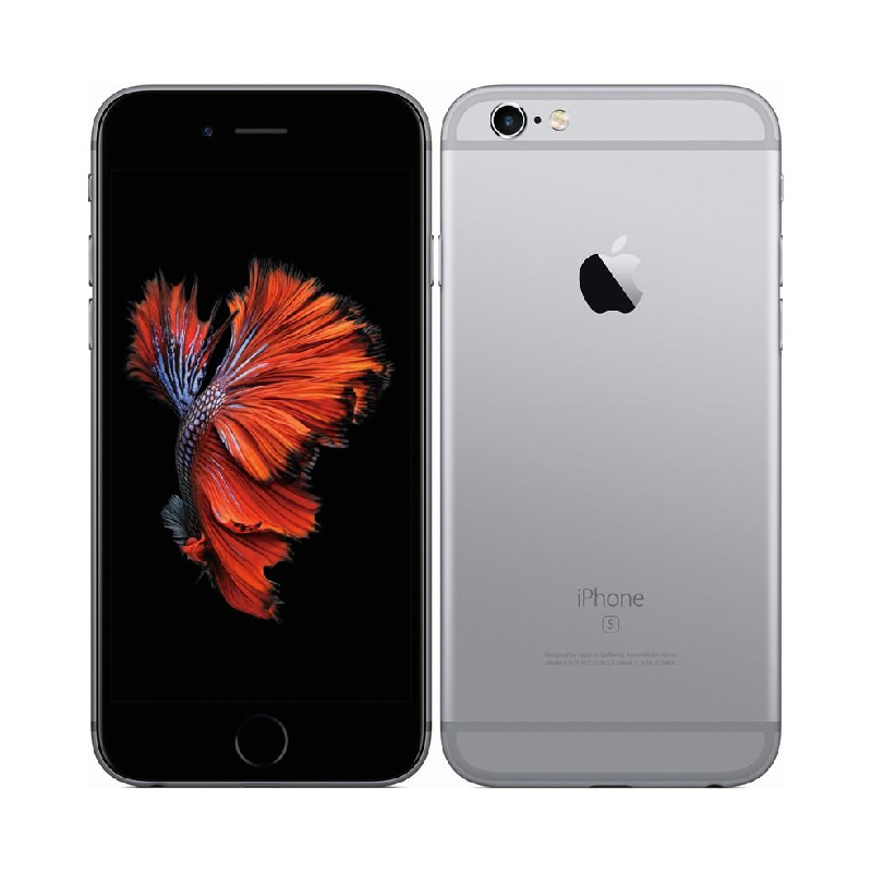 Neerwaarts Zeker karton Apple iPhone 6 64GB Gray, class B, used, warranty 12 months, VAT cannot be  deducted